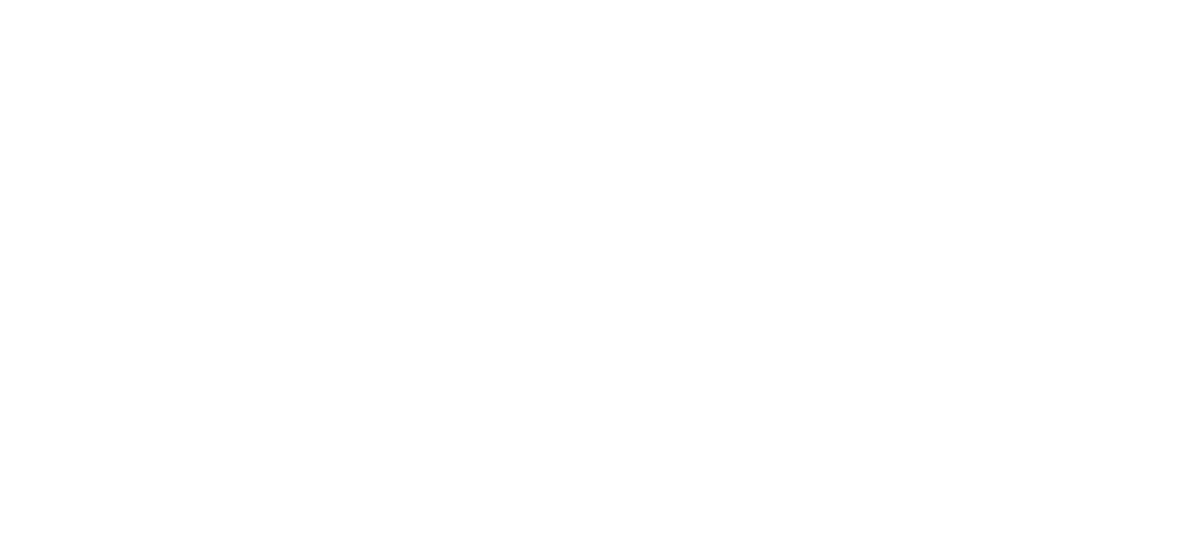 STim Logo